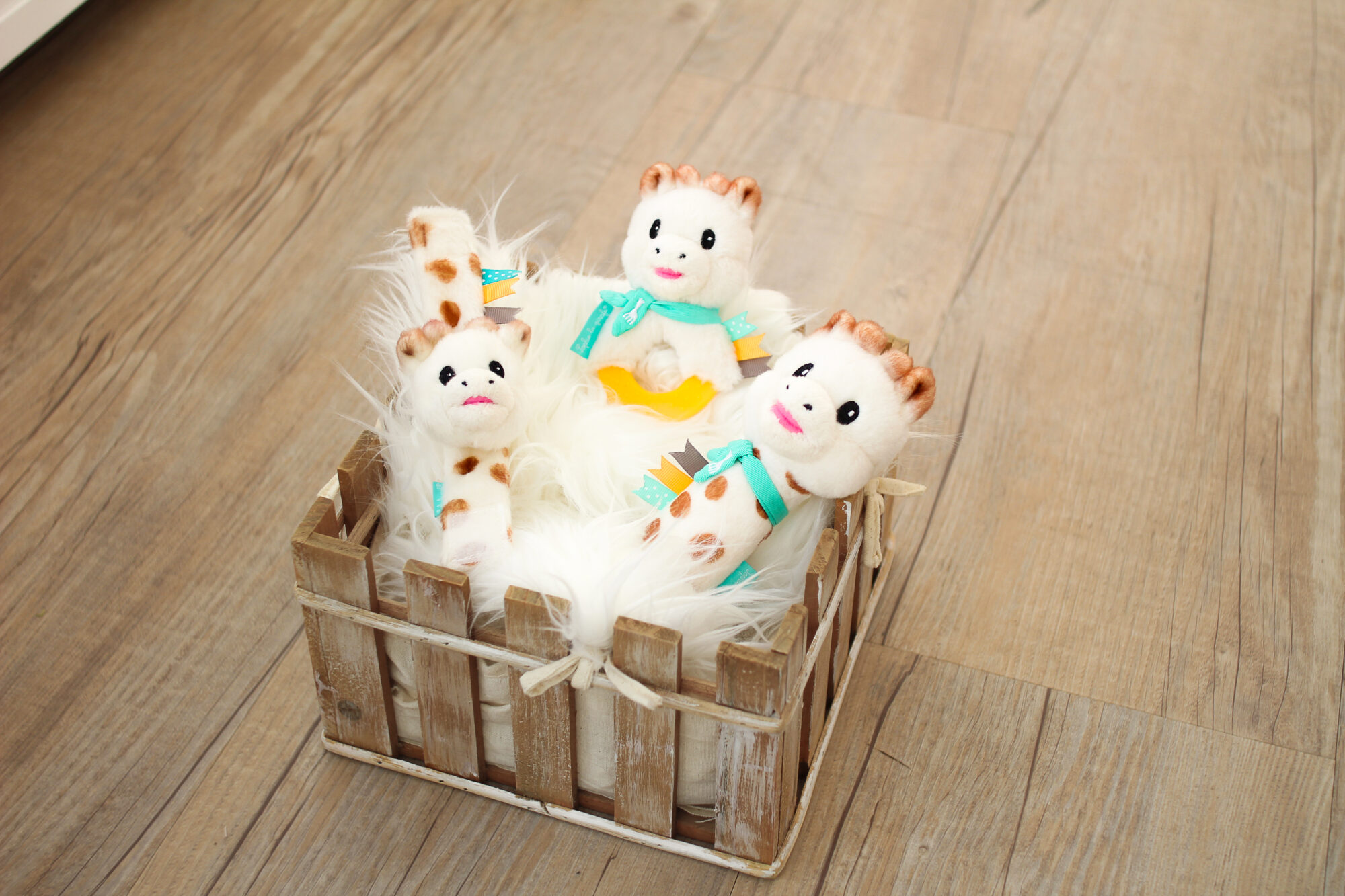 Pluszowa gryzako-grzechotka - obrazek 5